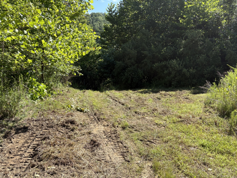 Retreat to the Ridges: Tract 6 Martins Creek